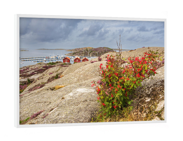 Poster mit weißem Rahmen "Felsen, Strauch und Meer" artboxONE - Natur,Reise,Reise / Strand und Meer,Reise / Länder
