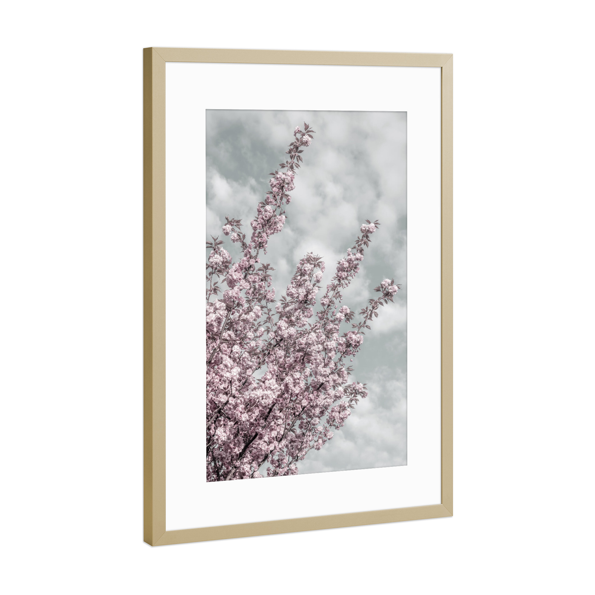 Poster mit Rahmen Gold "Kirschblüten mit Blick zum Himmel" artboxONE - Natur,Floral