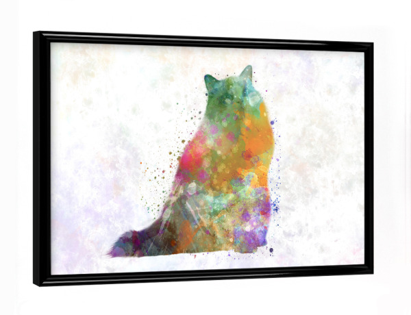 Poster mit schwarzem Rahmen "Turkish Angora in watercolor" artboxONE - Tiere,Abstrakt