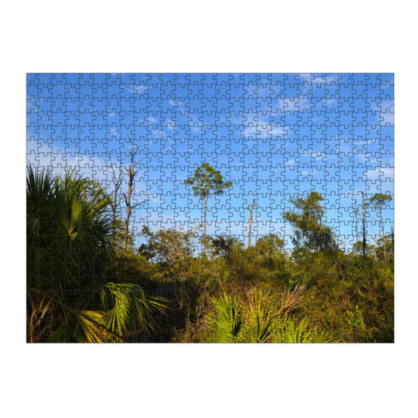 artboxONE Puzzle "Landschaft in Florida" artboxONE - Natur,Reise,Reise / Länder