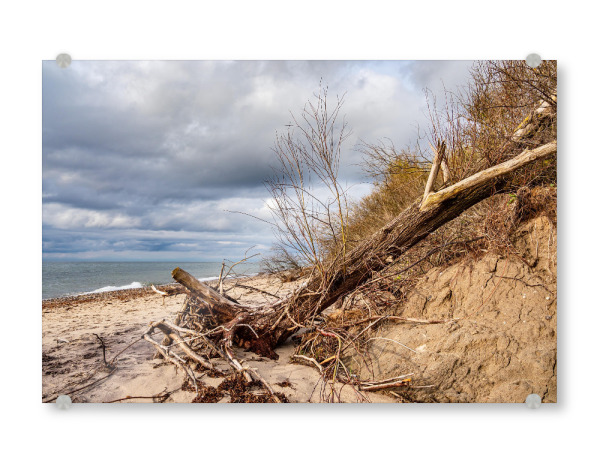 Acrylglasbild "Baumstämme und Meer" artboxONE - Natur,Reise,Reise / Strand und Meer