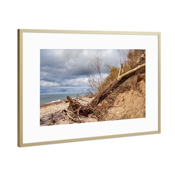 Poster mit Rahmen Gold "Baumstämme und Meer" artboxONE - Natur,Reise,Reise / Strand und Meer