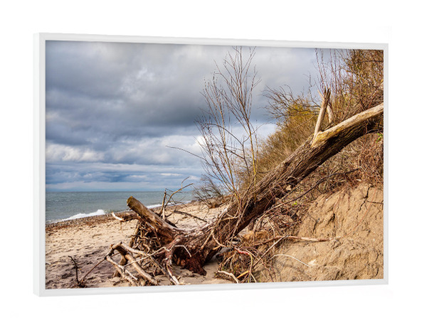 Poster mit weißem Rahmen "Baumstämme und Meer" artboxONE - Natur,Reise,Reise / Strand und Meer