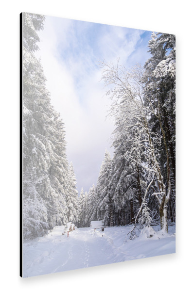 Alu-Dibond "Wald, Schnee und Weg Schmiedefeld" 30x20 cm artboxONE