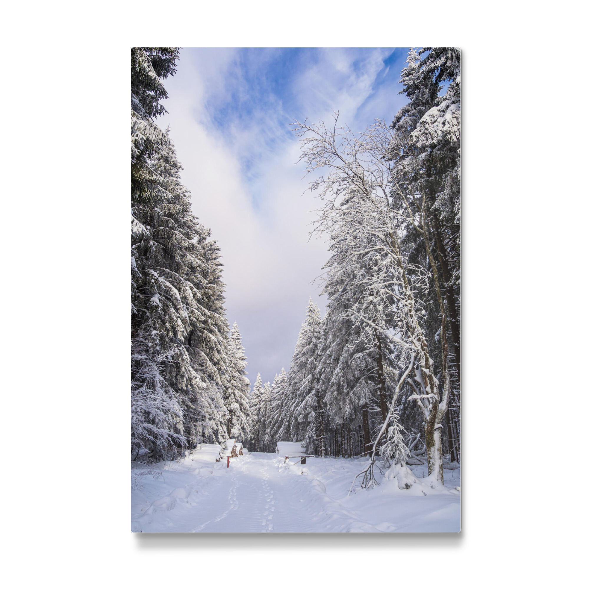 Galerie-Print "Wald, Schnee und Weg Schmiedefeld" 75x50 cm artboxONE