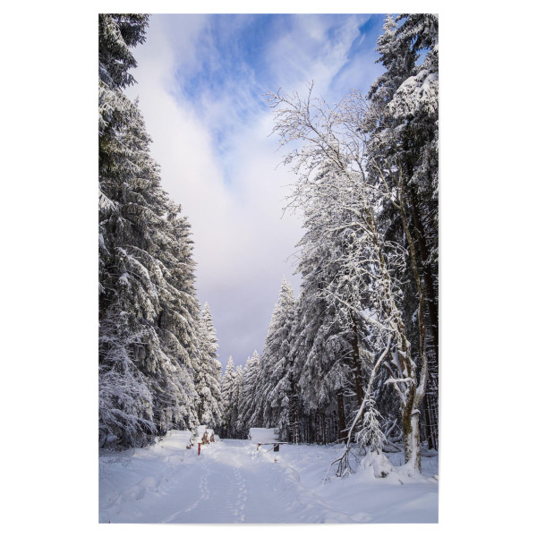 Poster 30x20 cm "Wald, Schnee und Weg Schmiedefeld" artboxONE - Natur,Reise