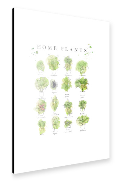 Alu-Dibond "Aquarell heimische Pflanzen" 30x20 cm artboxONE