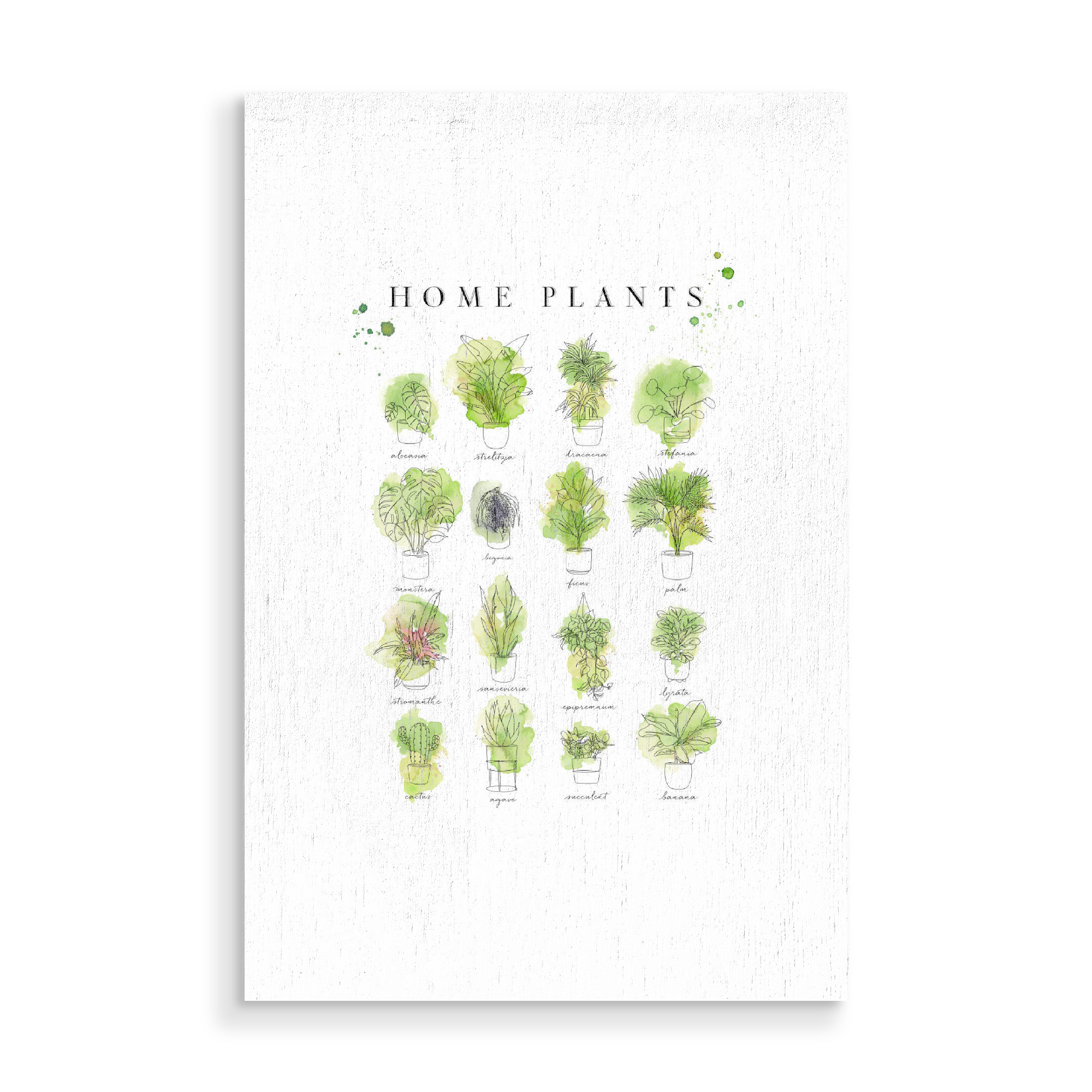 Holzbild "Aquarell heimische Pflanzen" artboxONE - Natur,Streetart