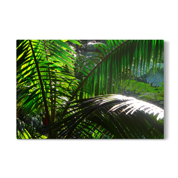 Galerie-Print "Palmendschungel" 30x20 cm artboxONE