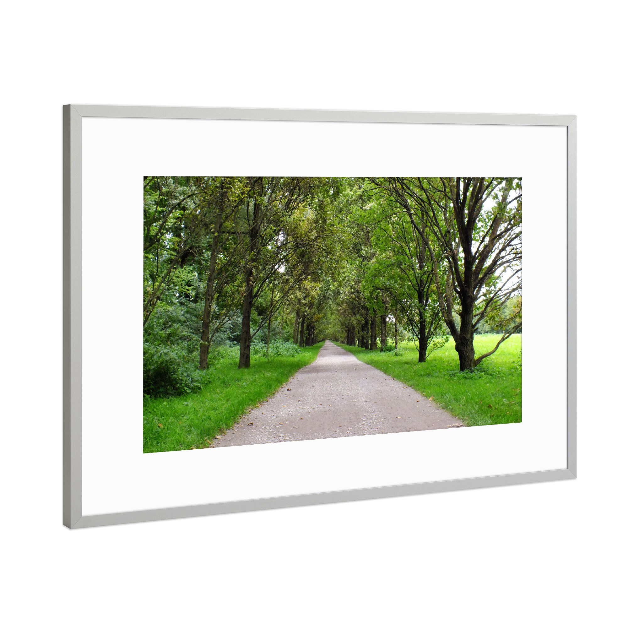 Poster mit Rahmen Silber "Eine Allee in Deutschland" artboxONE - Natur,Reise,Reise / Länder