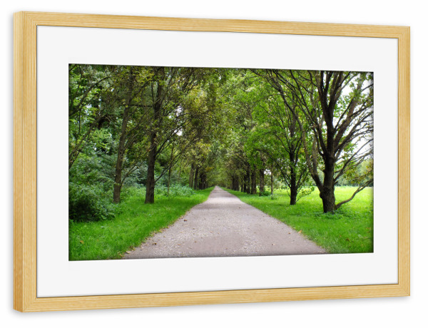 Poster mit Rahmen kiefer "Eine Allee in Deutschland" artboxONE - Natur,Reise,Reise / Länder