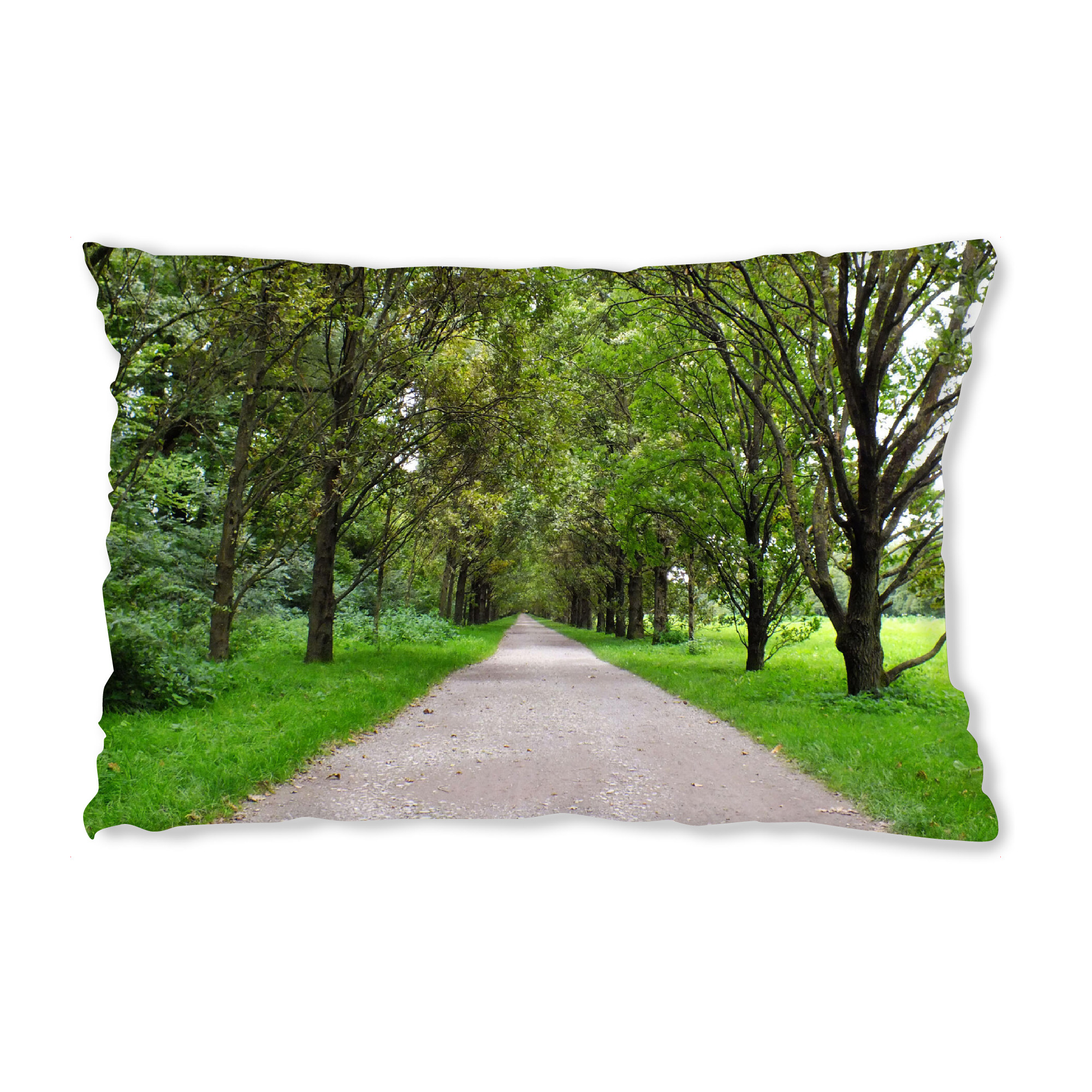 Design-Kissen "Eine Allee in Deutschland" artboxONE - Natur,Reise,Reise / Länder
