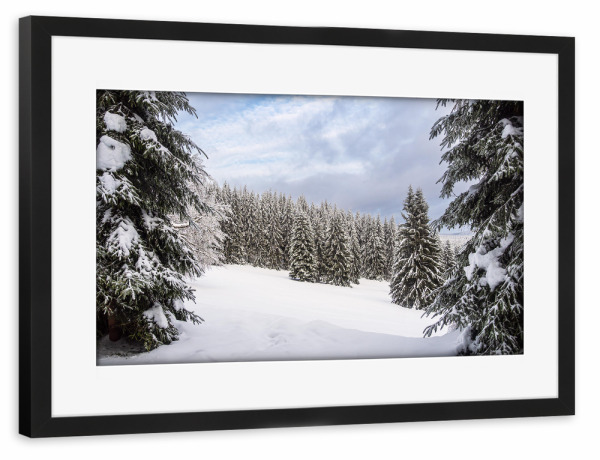 Poster mit Rahmen schwarz "Bäume im Wald mit Schnee" artboxONE - Natur,Reise