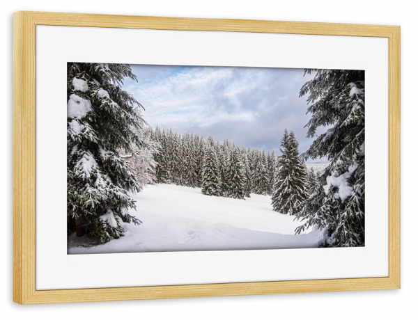 Poster mit Rahmen kiefer "Bäume im Wald mit Schnee" artboxONE - Natur,Reise