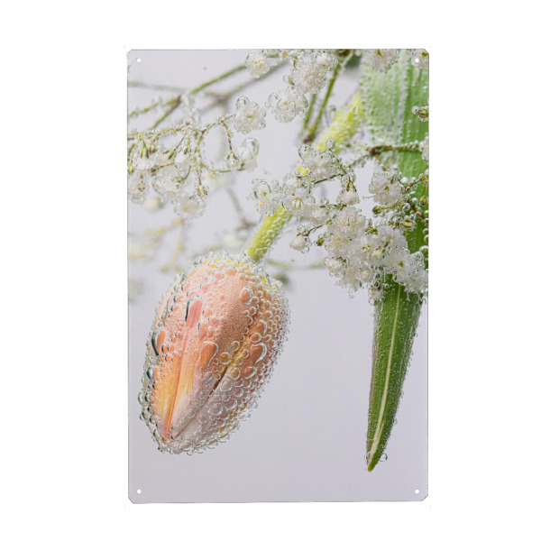 Holzbild "Tulpe Schleierkaut und Wasser" artboxONE - Floral