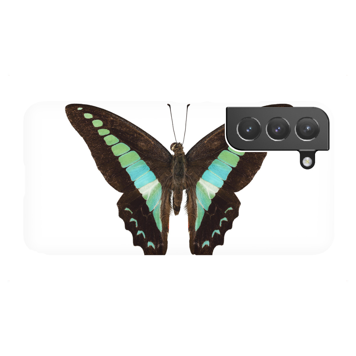 Samsung Galaxy "Schmetterlingsart Graphium" Premium-Case Handyhülle artboxONE