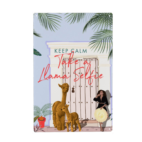 Metall Poster "Lama-Selfie" artboxONE - Typografie,Tiere,Menschen