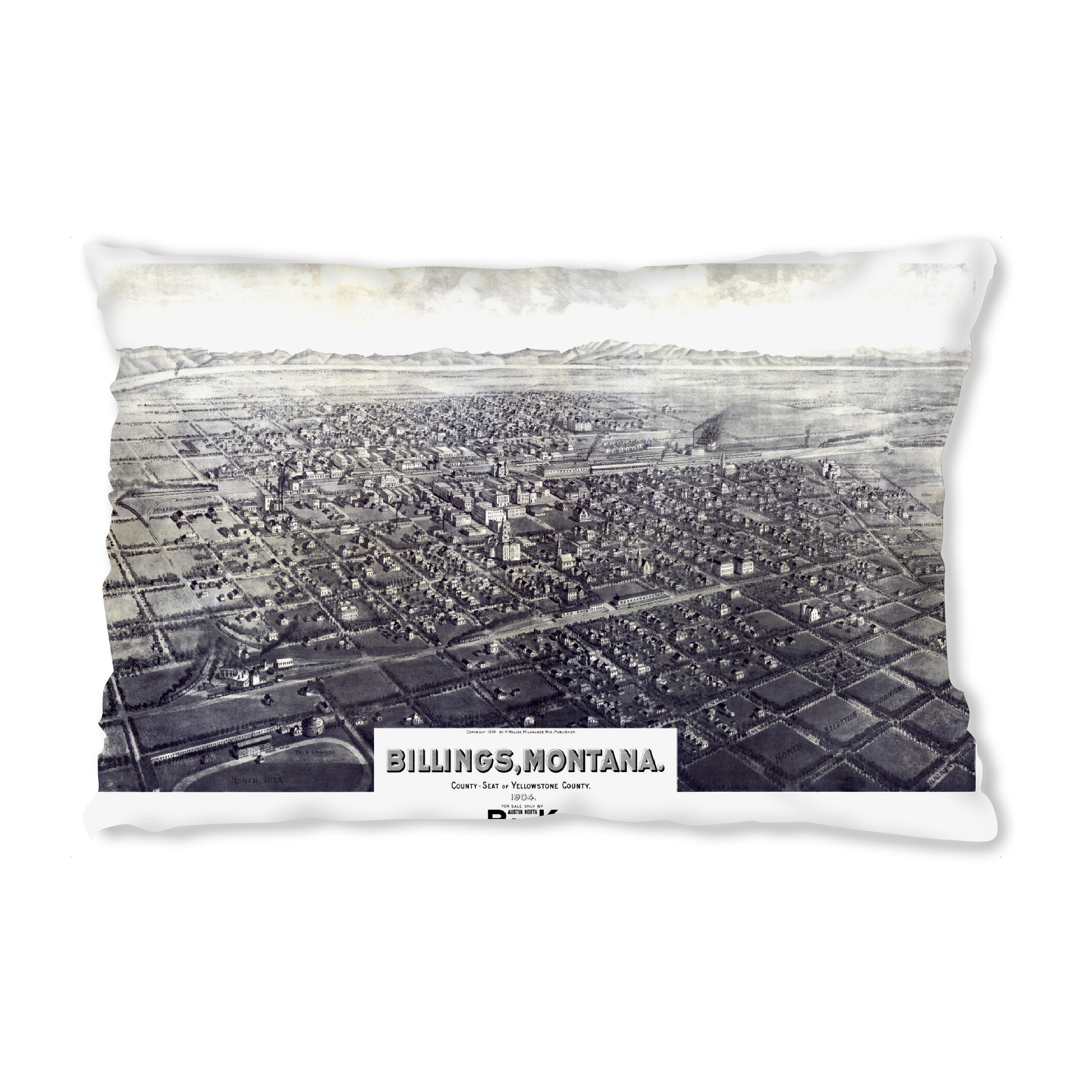 Design-Kissen "Abrechnungskarte - Montana" artboxONE - Kartografie