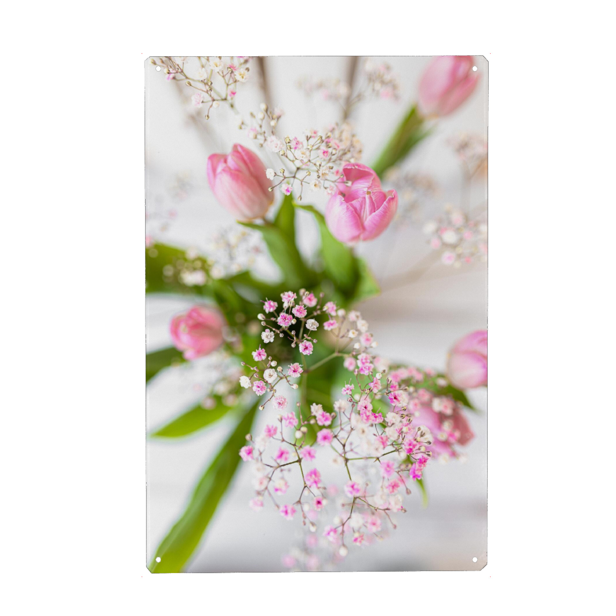 Holzbild "Frühling - Tulpen" artboxONE - Natur,Floral - Blumen,Weiß,Tulpen,Schleierkraut,Frühling,High key,Shabby