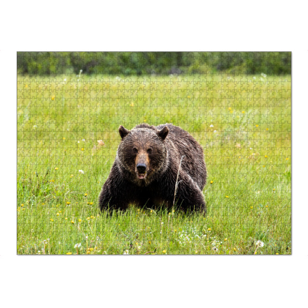 Puzzle Ravensburger "Mächtiger Grizzly" artboxONE - Natur,Tiere - Grizzley,Bär,Braunbär,Gizzlybär,Kanada,Wildlife,Säugetier,Bären,Natur