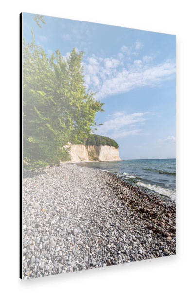 Alu-Dibond "Baum, Küste, Rügen" 30x20 cm artboxONE