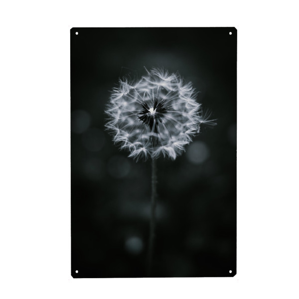 Holzbild "Pusteblume in schwarz und weiß" artboxONE - Natur,Abstrakt,Schwarzweiß
