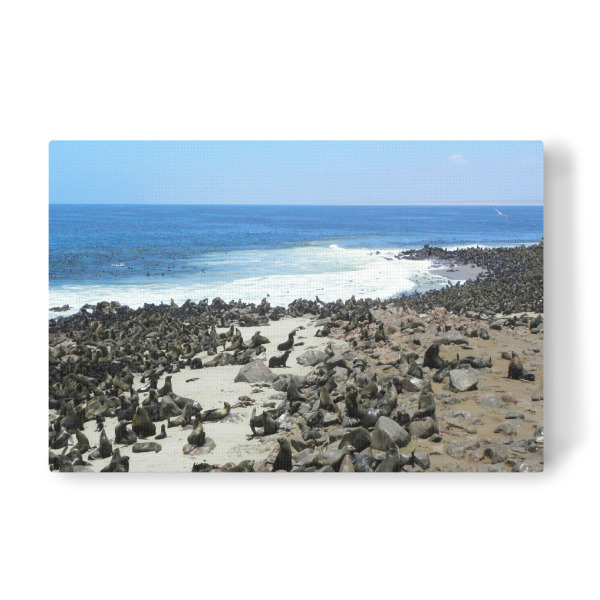 Leinwandbild "The Cape Cross Seal Colony" artboxONE - Natur,Reise,Reise / Strand und Meer,Reise / Afrika,Reise / Länder
