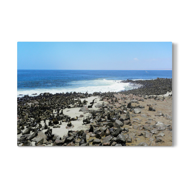 Galerie-Print "The Cape Cross Seal Colony" 30x20 cm artboxONE