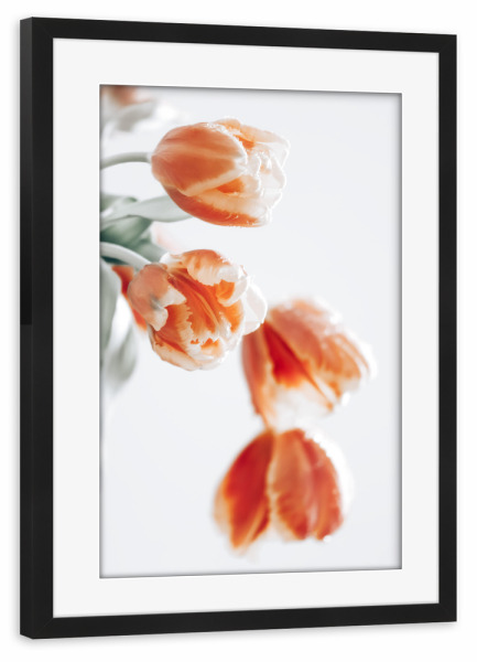 Poster mit Rahmen schwarz "Tulpe" artboxONE - Floral