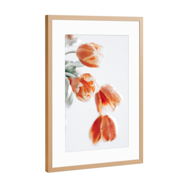 Poster mit Rahmen Kupfer "Tulpe" artboxONE - Floral