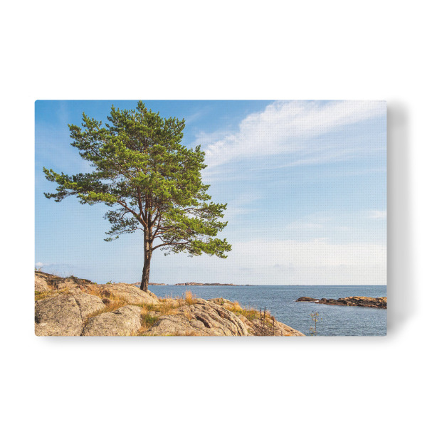 Leinwandbild "Felsen, Baum und Nordsee" artboxONE - Natur,Reise,Reise / Strand und Meer,Reise / Länder