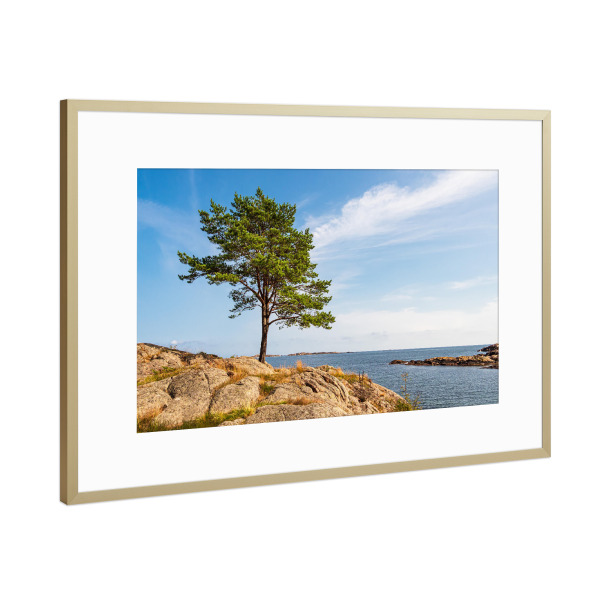 Poster mit Rahmen Gold "Felsen, Baum und Nordsee" artboxONE - Natur,Reise,Reise / Strand und Meer,Reise / Länder