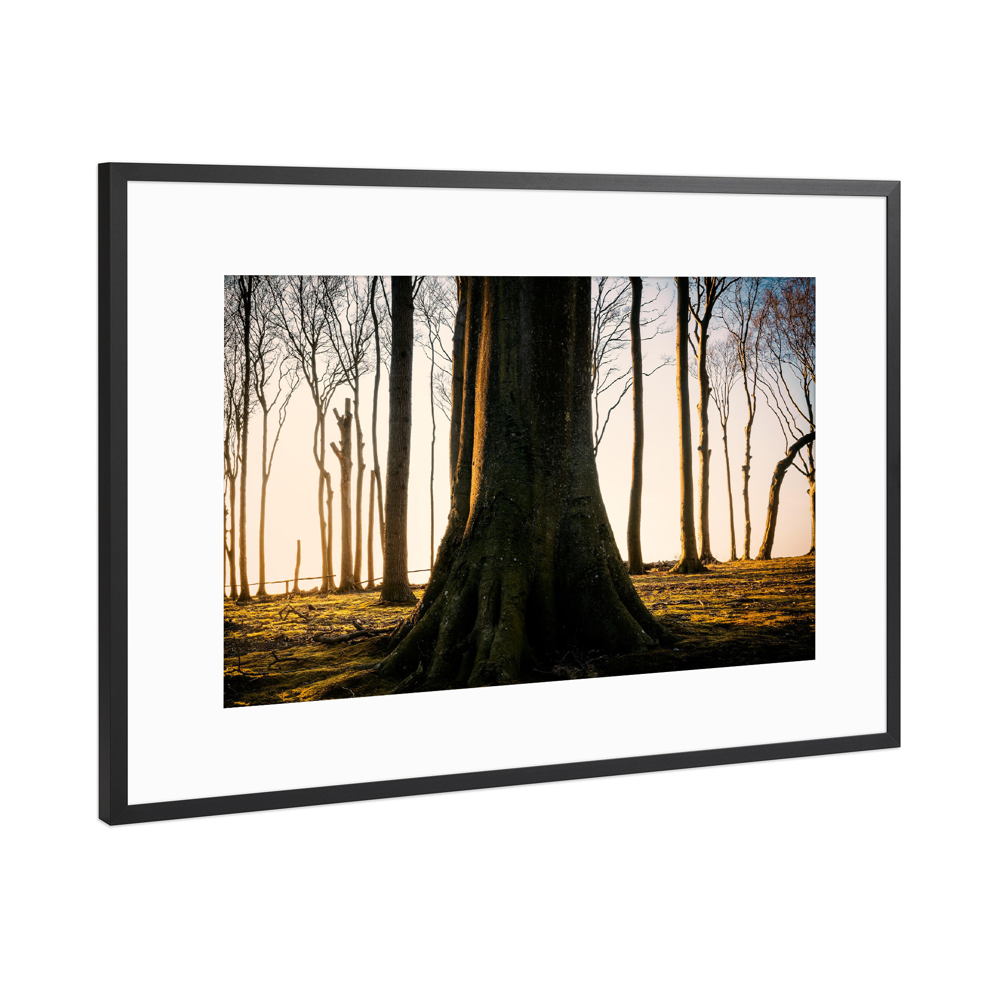 Poster mit Rahmen Schwarz (Metallic) "Im Gespensterwald" artboxONE - Natur,Floral,Reise / Strand und Meer
