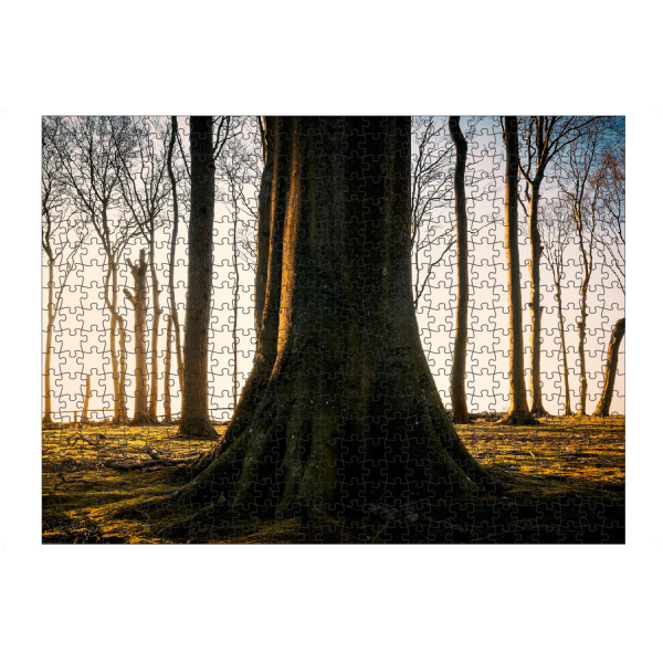 artboxONE Puzzle "Im Gespensterwald" artboxONE - Natur,Floral,Reise / Strand und Meer