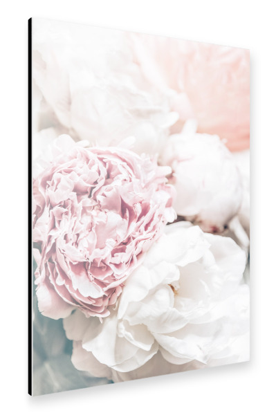 Alu-Dibond "Blüten zu Pfingsten" 30x20 cm artboxONE