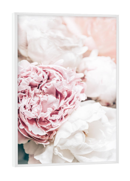 Poster mit weißem Rahmen "Blüten zu Pfingsten" artboxONE - Floral