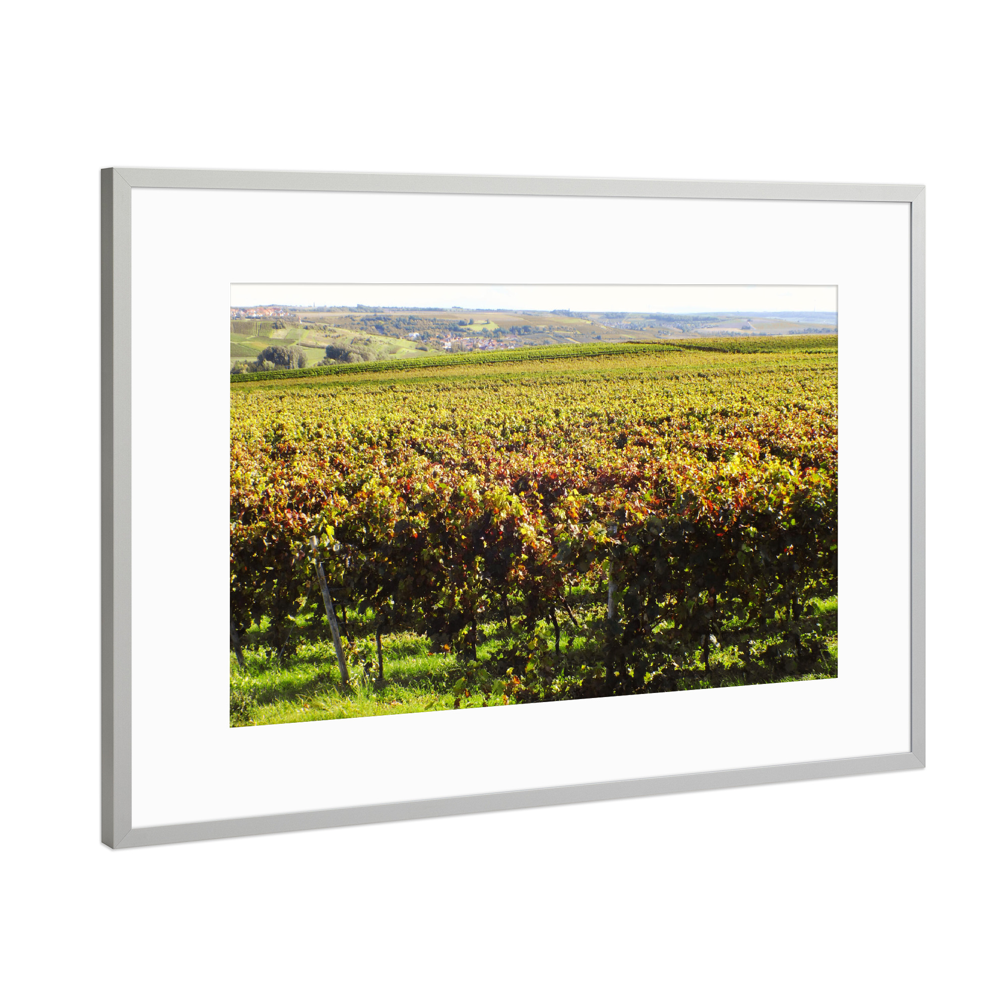 Poster mit Rahmen Silber "Wingert in Rheinhessen" artboxONE - Reise,Reise / Länder