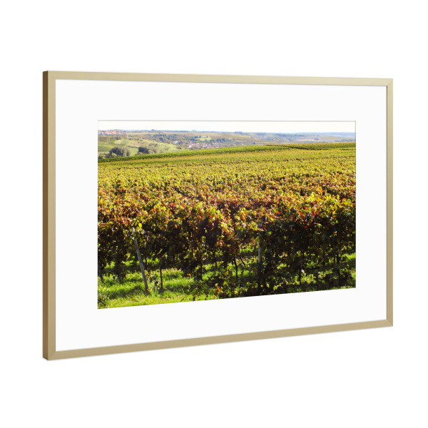 Poster mit Rahmen Gold "Wingert in Rheinhessen" artboxONE - Reise,Reise / Länder