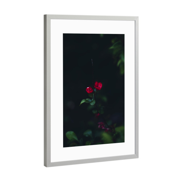 Poster mit Rahmen Silber "Kleine rote Blume" artboxONE - Natur,Floral