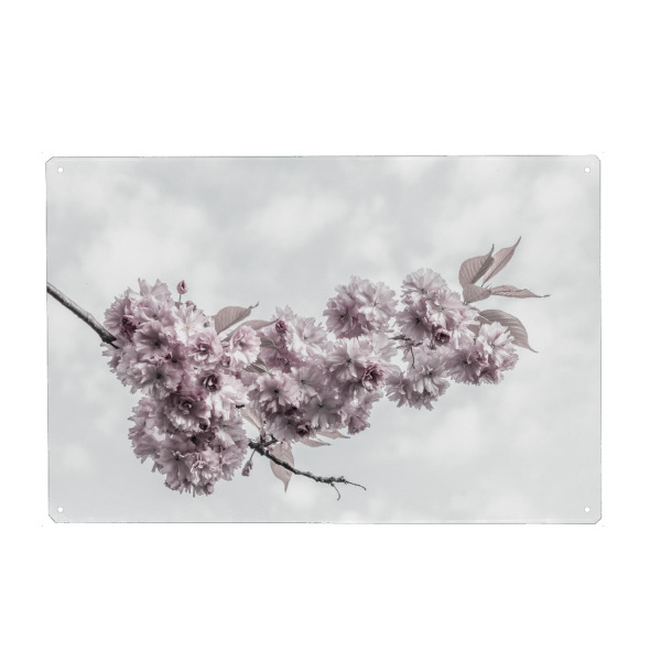 Holzbild "Zarte Kirschblüten" artboxONE - Natur,Floral