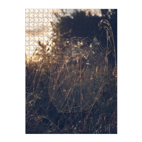 Puzzle Ravensburger "Im Netz" artboxONE - Natur - Spinnennetz,Natur,Morgen,Sonnenaufgang,Wiese,Feld,Spinne,Atmosphäre,Morgens,Umwelt