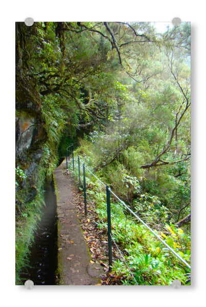 Acrylglasbild "Levada-Wanderweg auf Madeira" artboxONE - Natur,Reise,Reise / Länder
