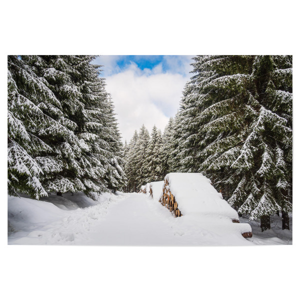 Poster "Schnee, Weg, Holzstapel und Wald" artboxONE - Natur,Reise