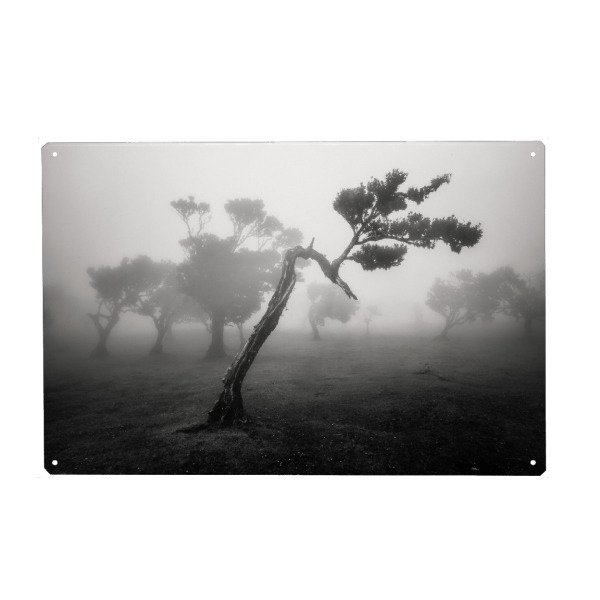 Holzbild "SCHWANENHALS" artboxONE - Natur,Reise,Schwarzweiß