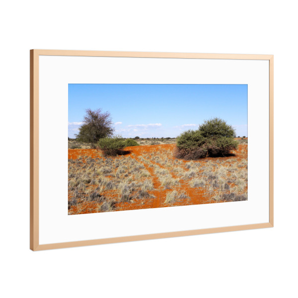 Poster mit Rahmen Kupfer "Kalahariwüste" artboxONE - Natur,Reise,Reise / Afrika,Reise / Länder