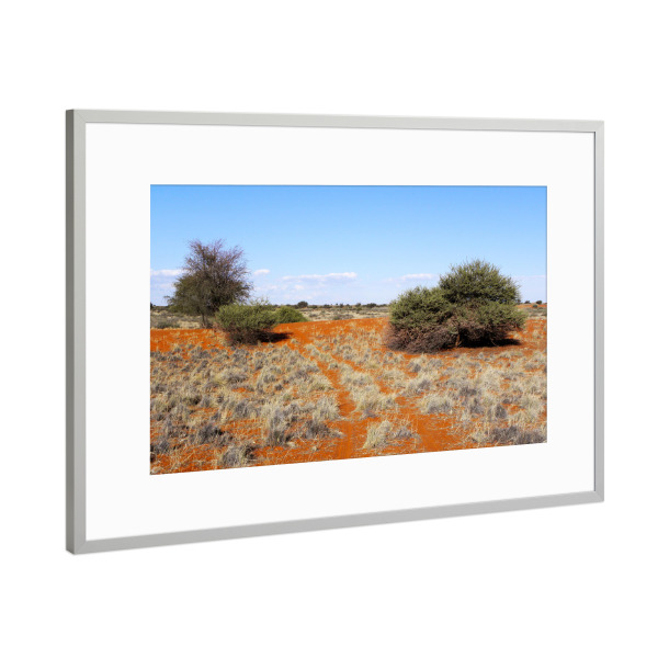 Poster mit Rahmen Silber "Kalahariwüste" artboxONE - Natur,Reise,Reise / Afrika,Reise / Länder