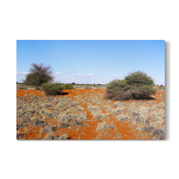 Galerie-Print "Kalahariwüste" 30x20 cm artboxONE