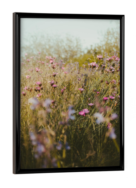 Poster mit schwarzem Rahmen "Blumenwiese im Herbst" artboxONE - Natur,Reise