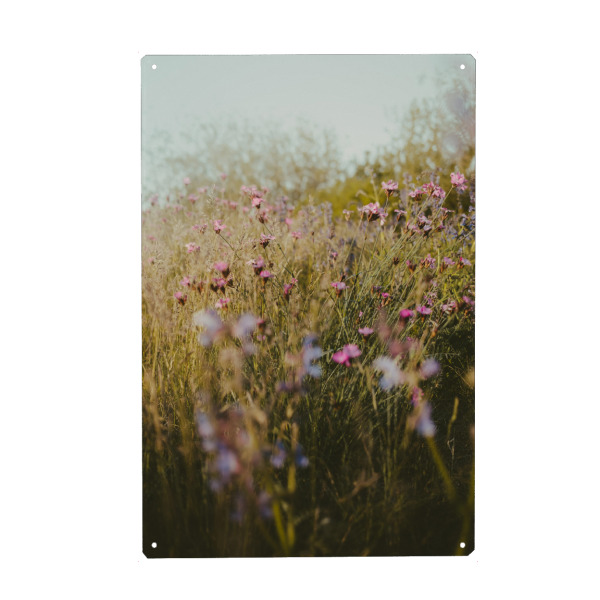 Holzbild "Blumenwiese im Herbst" artboxONE - Natur,Reise - Wiese,Blumen,Flower,Herbst,Warm,Moody,Abstrakt,Minimal,Minimalistisch,Boho,Wärme,Blätter