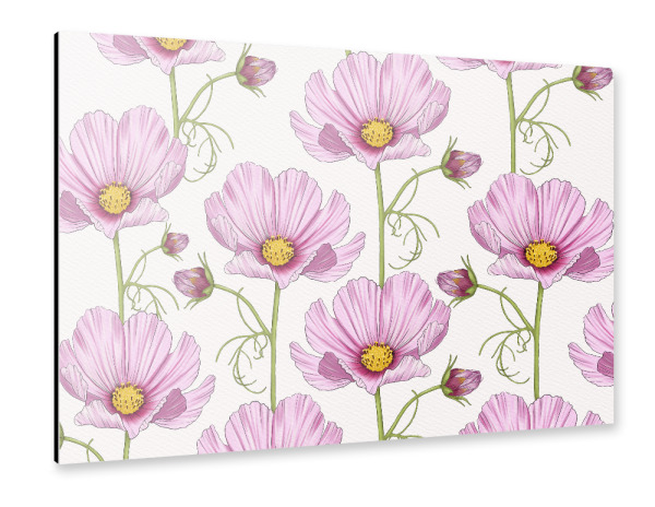 Alu-Dibond "Blumenmeer aus Cosmea Blumen" 30x20 cm artboxONE
